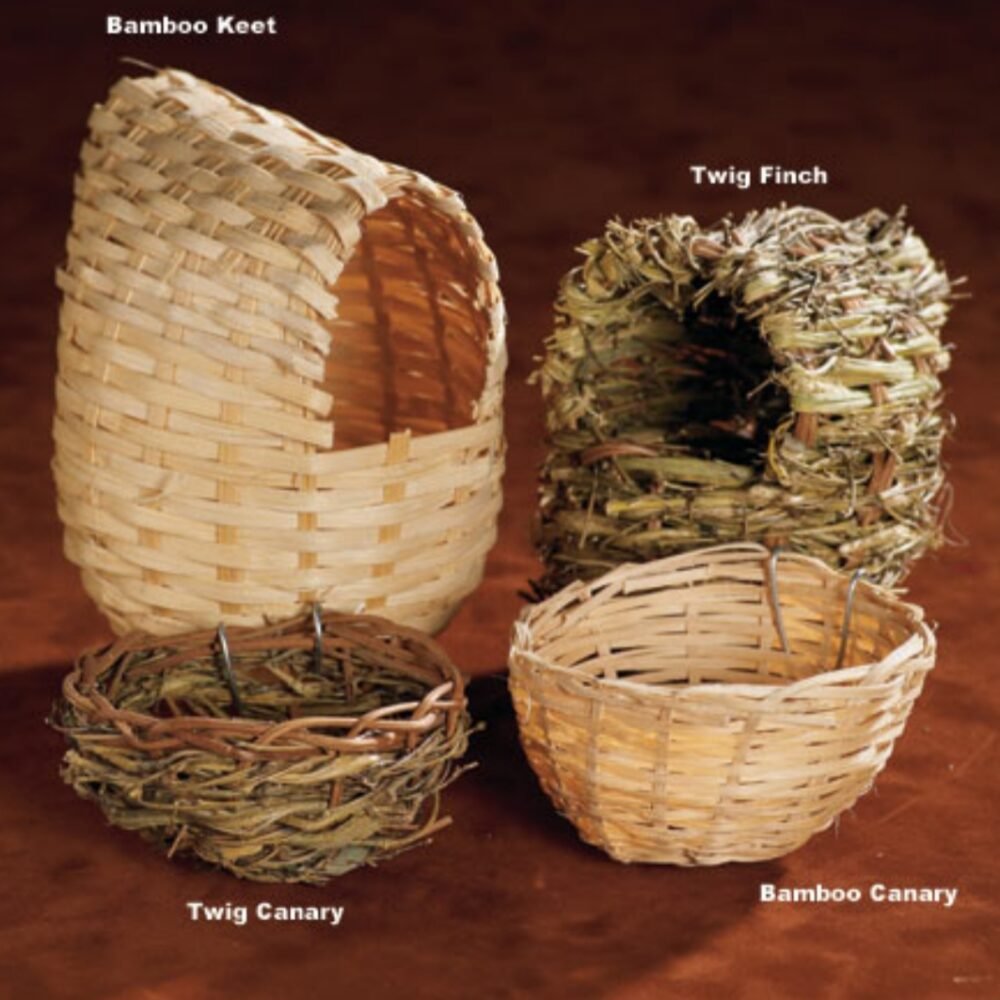 Shop Secondary Image