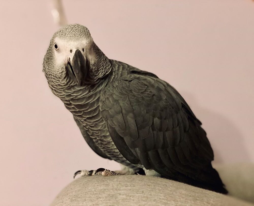 Shop Primary Image
