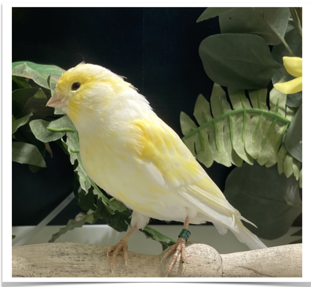 Shop Primary Image
