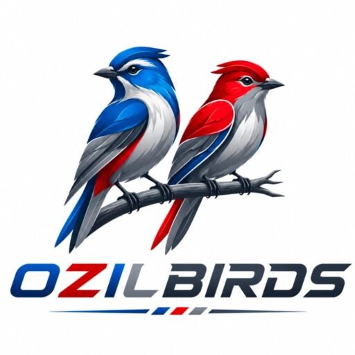 Amazon Parrots For Sale, Electus Parrots for Sale, cockatoo parrots for sale, macaw parrots for sale, finches for sale, lorikeets, buy doves bird online