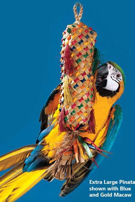 Parrot Piñata